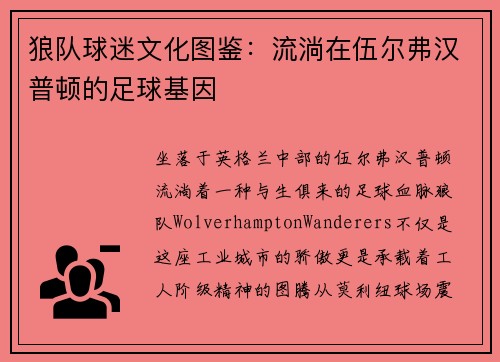 狼队球迷文化图鉴：流淌在伍尔弗汉普顿的足球基因